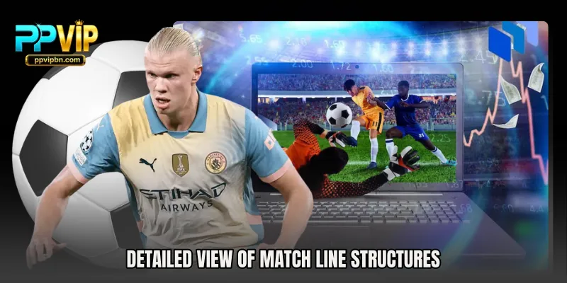 Detailed view of match line structures