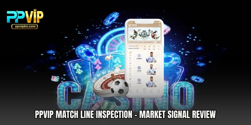 PPVIP Match Line Inspection - Market Signal Review